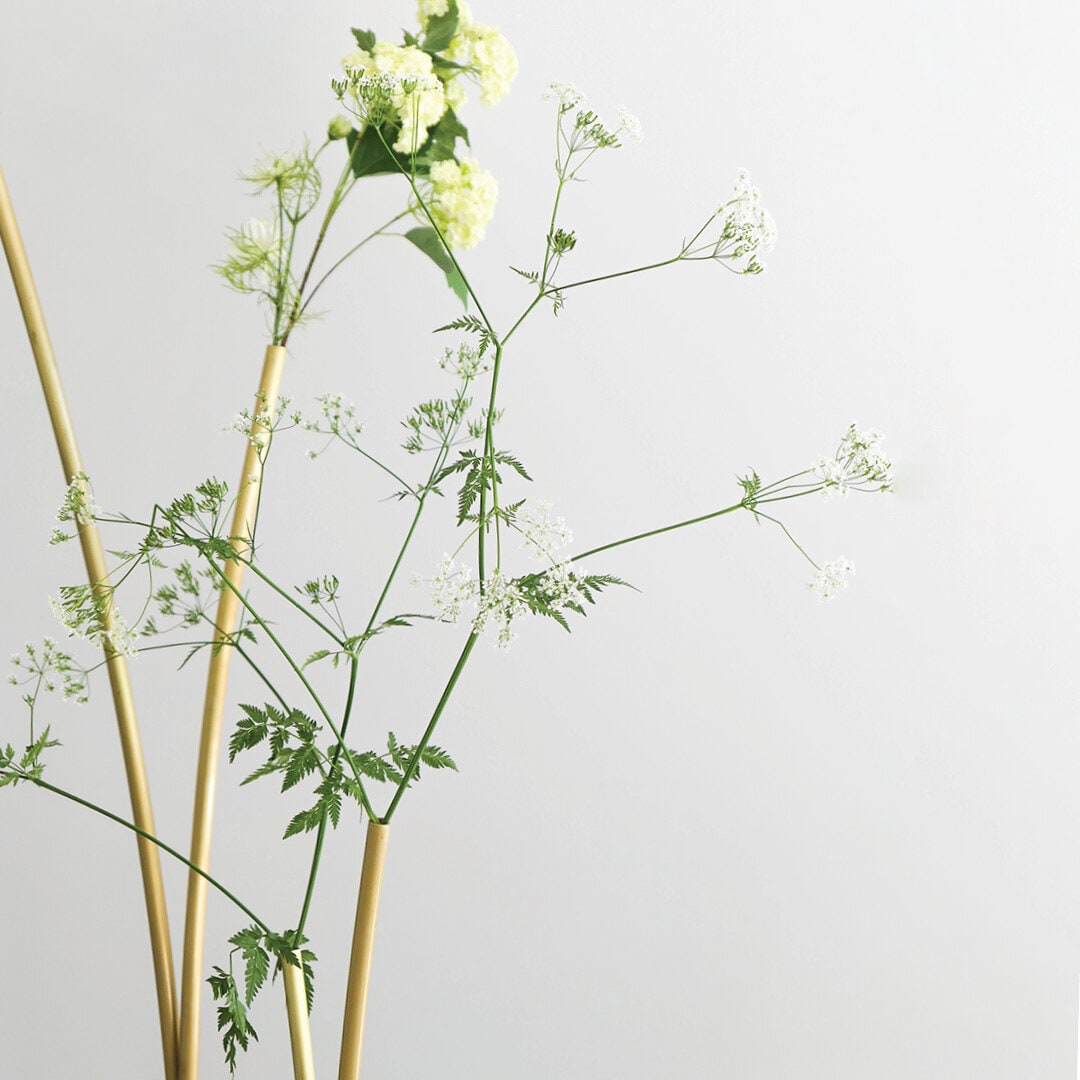 Skott Vase