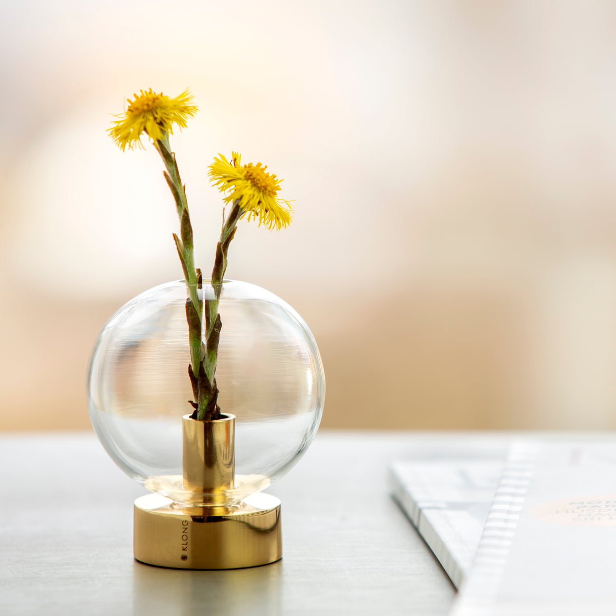 Orbis Extra Glas