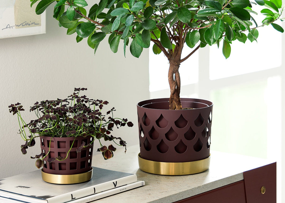 Trio Square Dark Red Flower Pot