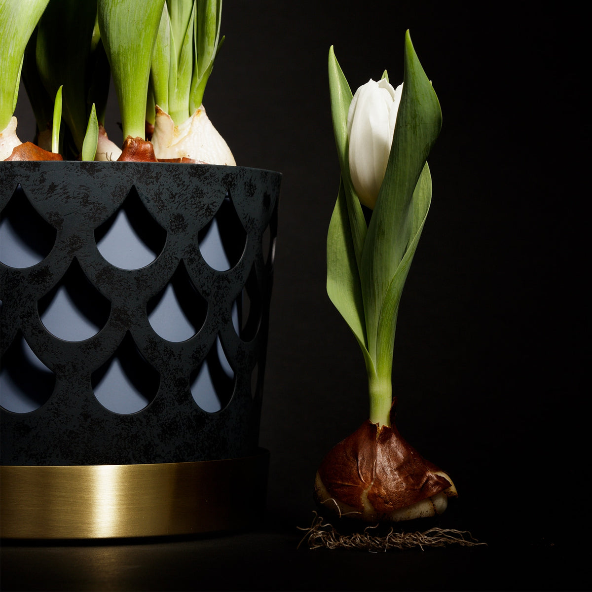 Trio Drop Blue Flower Pot