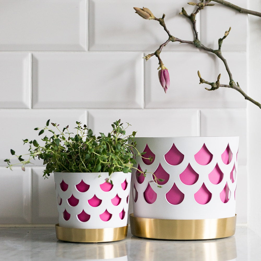 Trio Rosa Innerkruka