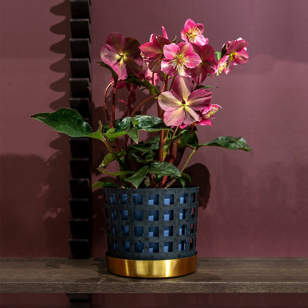 Trio Square Blue Flower Pot