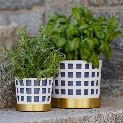 Trio Square White Flower Pot