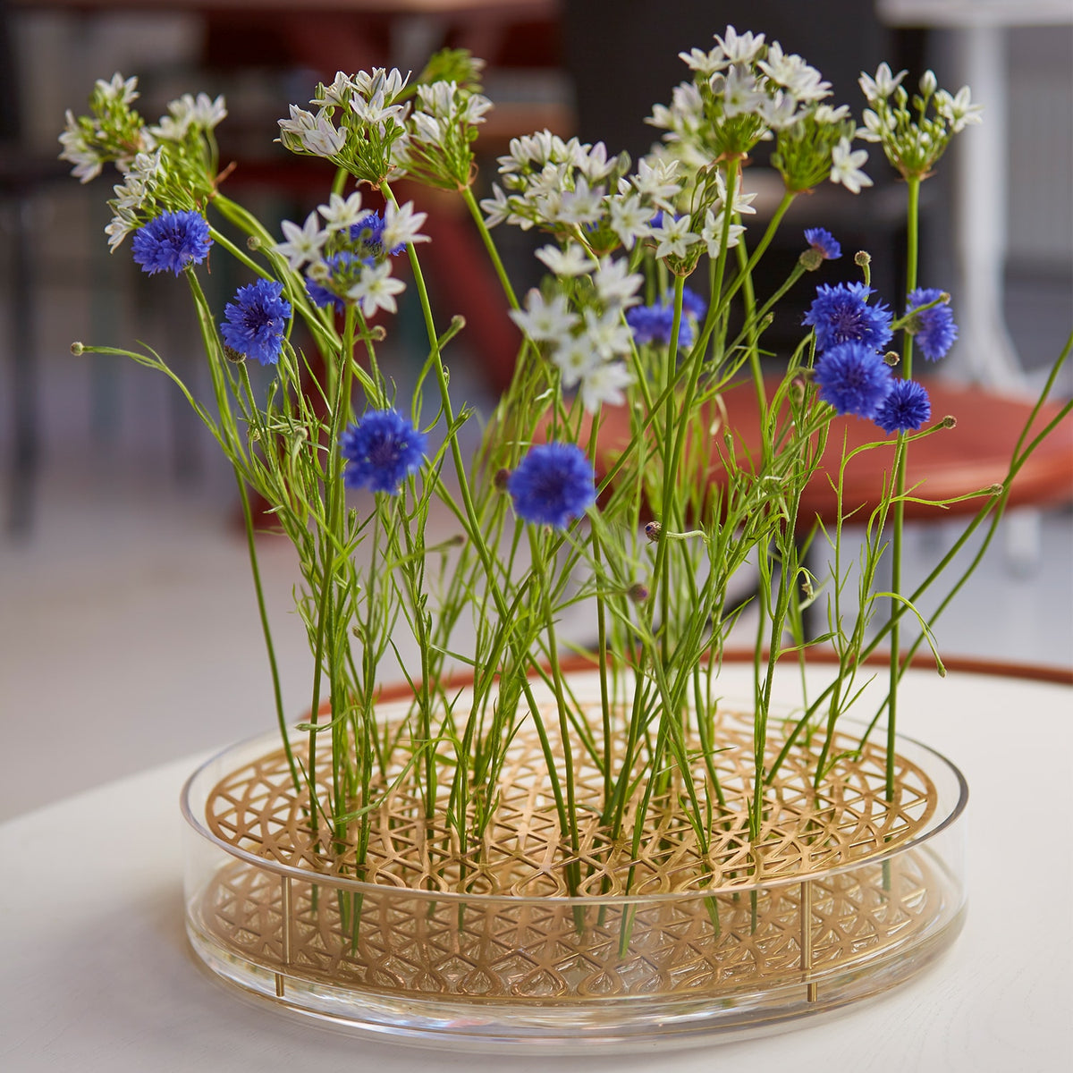 Äng Mega Vase