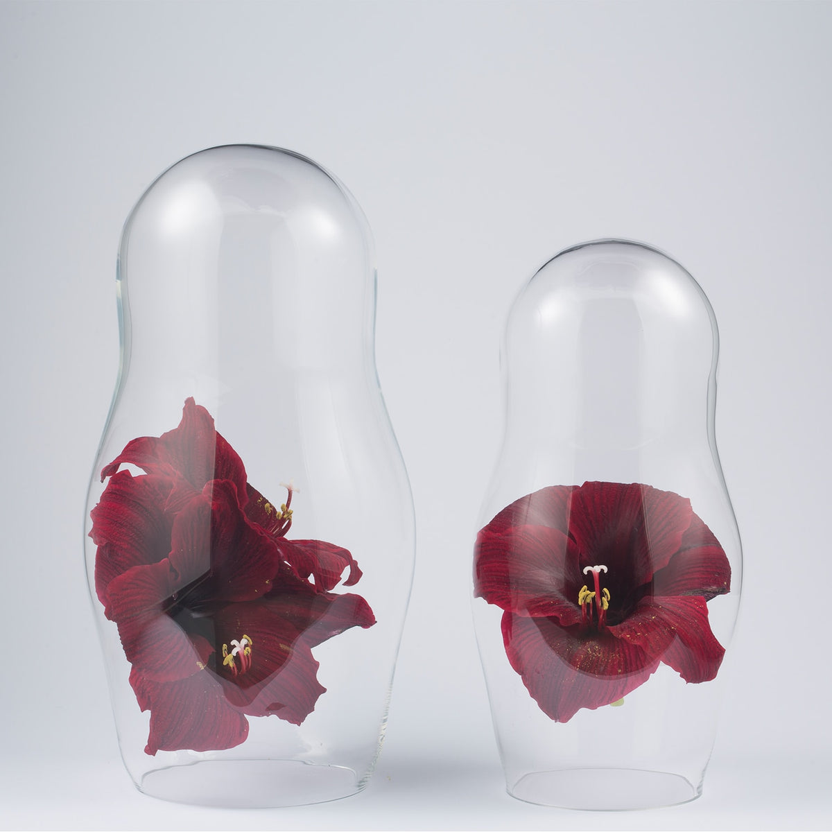 Baba Glass Cloches