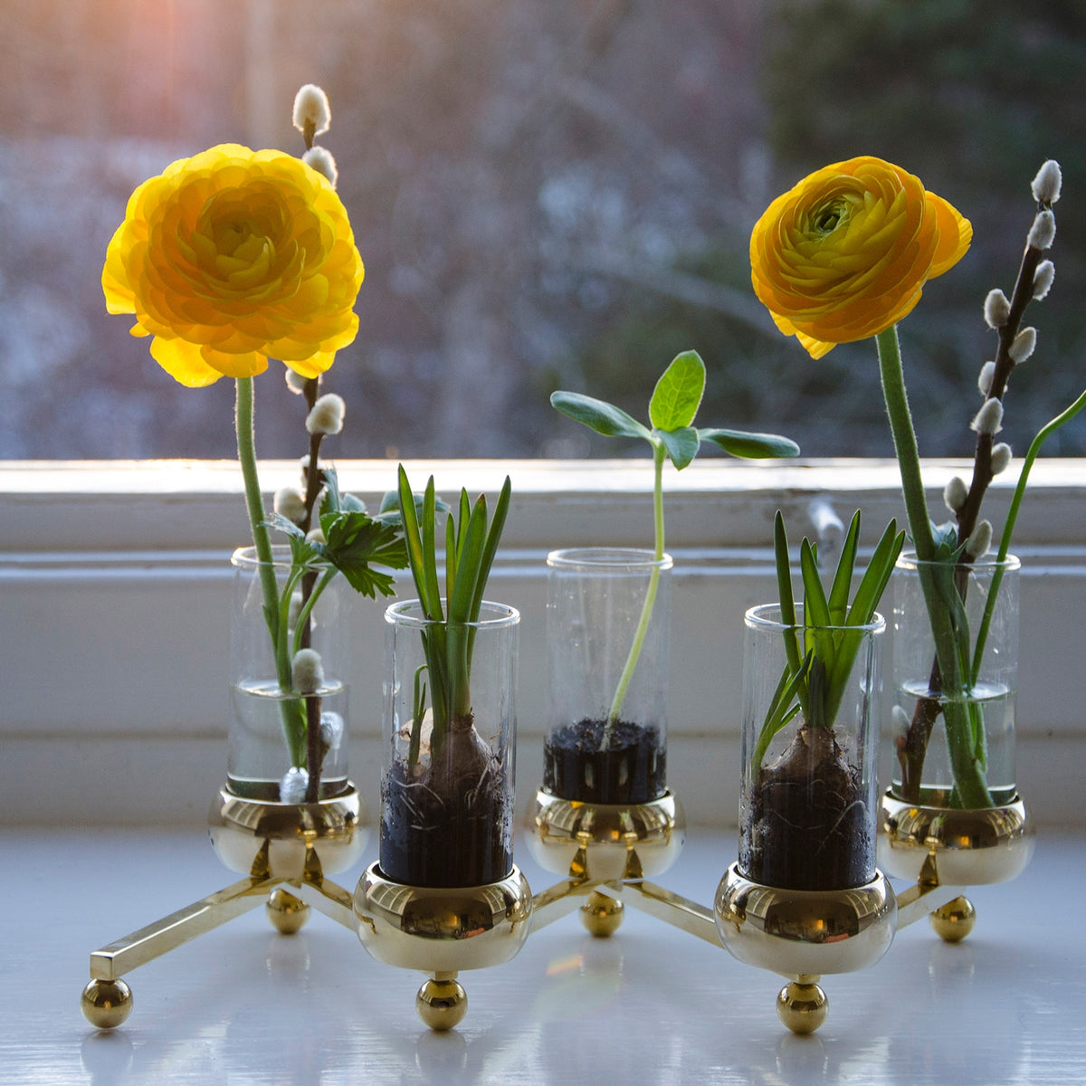 Constella Glasinsatser 5-pack
