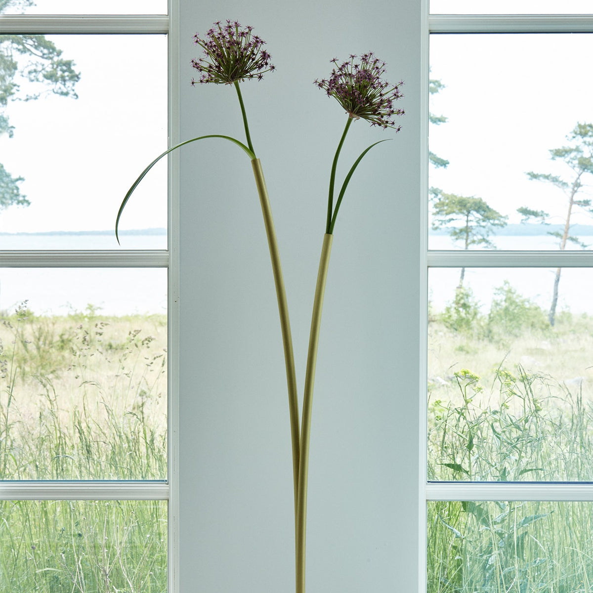 Skott Vase