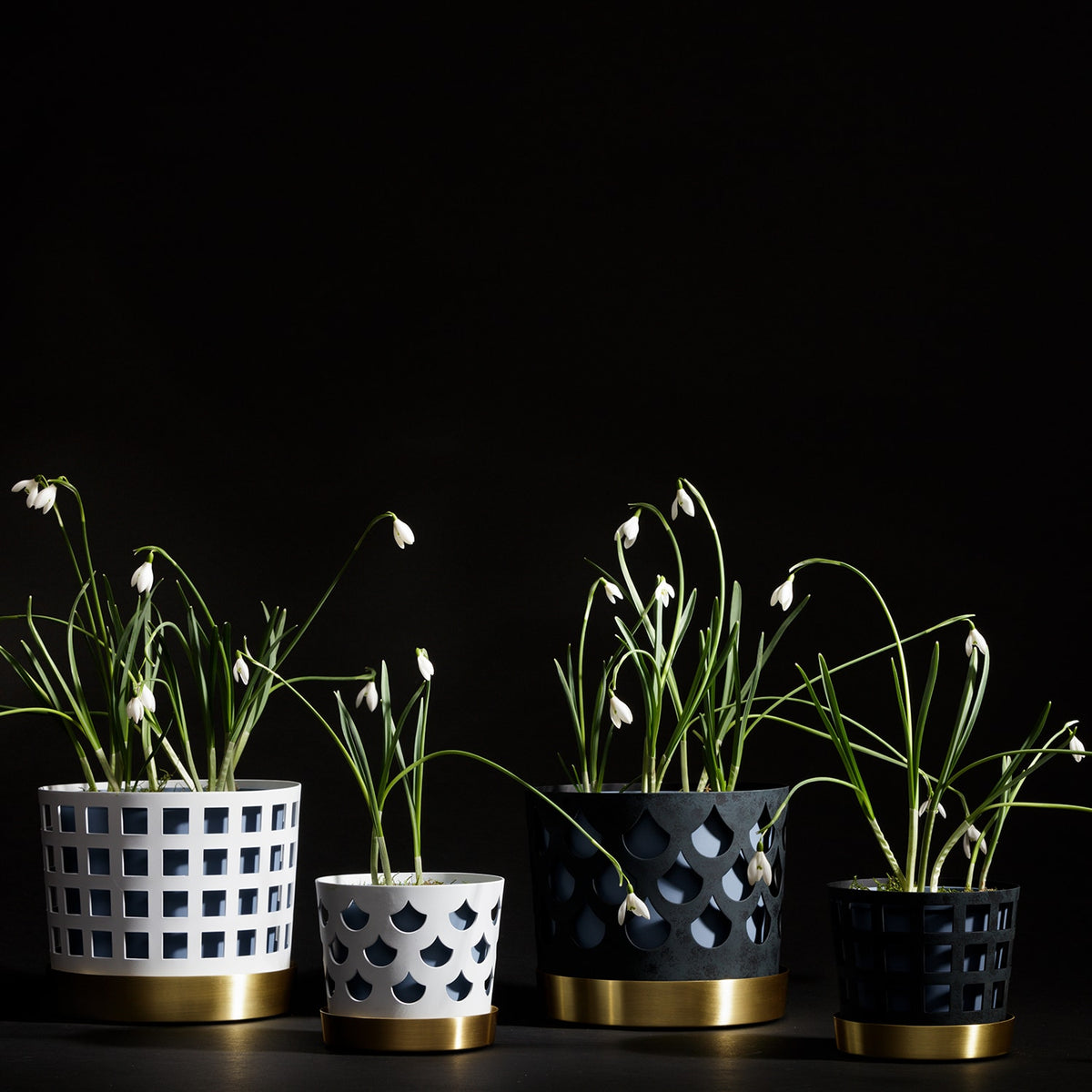 Trio Square Blue Flower Pot